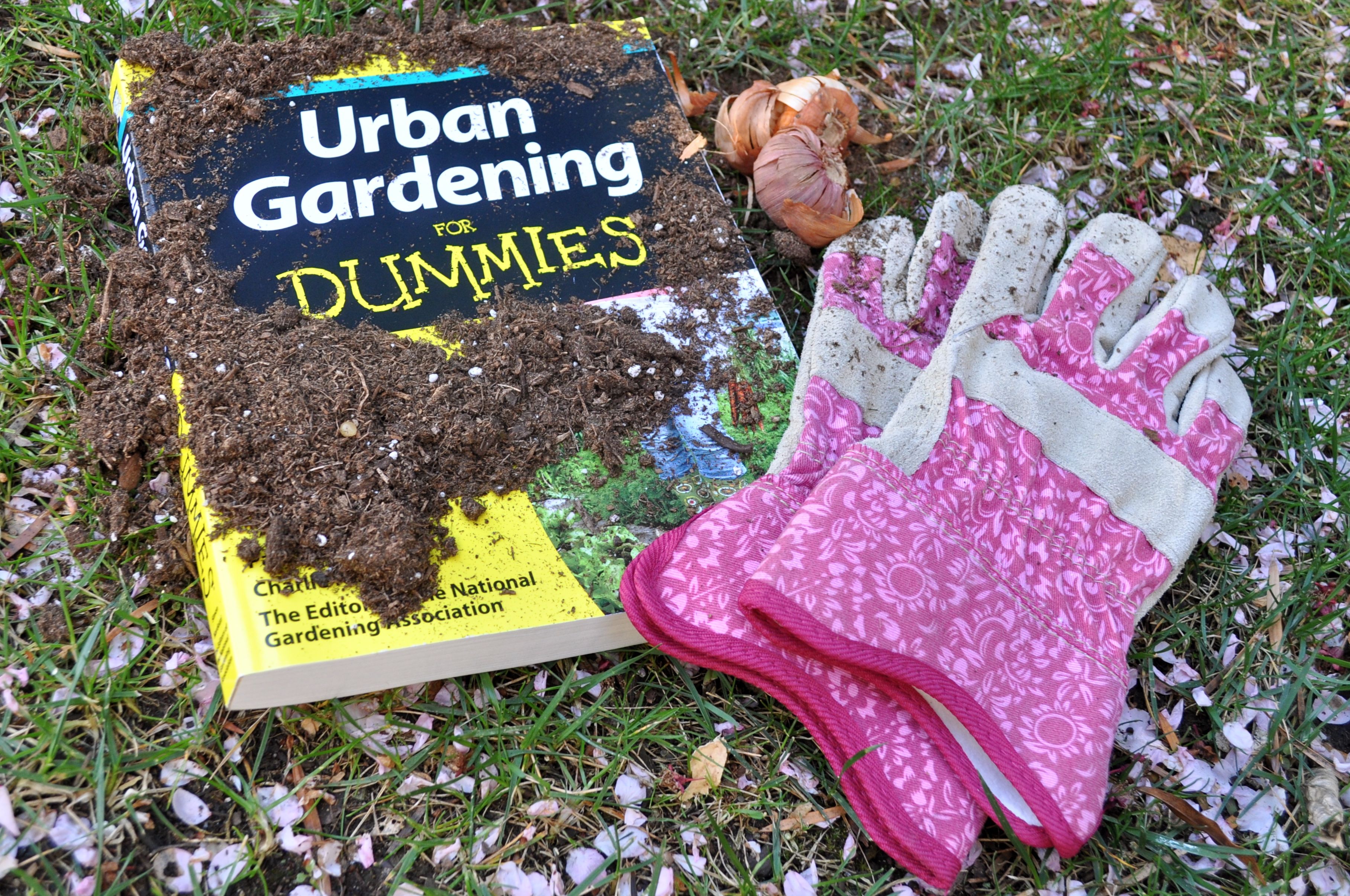 Urban Gardening for Dummies - A Good Guide for Everyone! - Simple ...